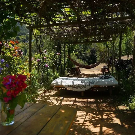 Country house Swiss Eco La Linda Loma - Olmue